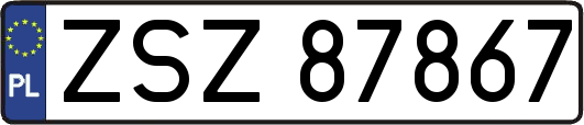 ZSZ87867