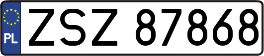 ZSZ87868