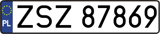 ZSZ87869