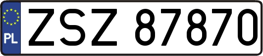 ZSZ87870