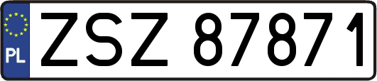 ZSZ87871