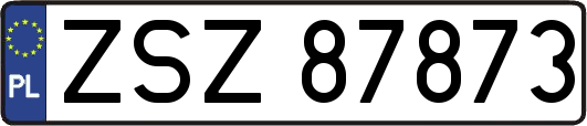 ZSZ87873