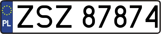ZSZ87874