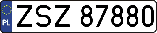 ZSZ87880