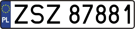 ZSZ87881