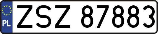 ZSZ87883