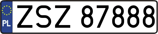 ZSZ87888