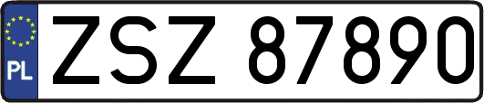 ZSZ87890