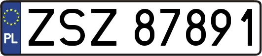 ZSZ87891