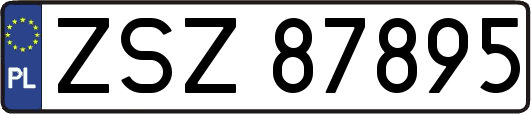ZSZ87895