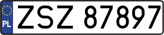 ZSZ87897