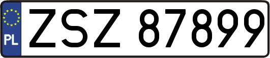 ZSZ87899