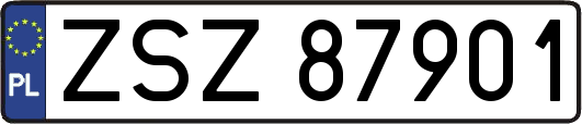ZSZ87901