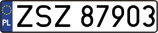 ZSZ87903