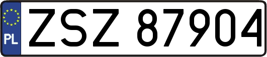ZSZ87904