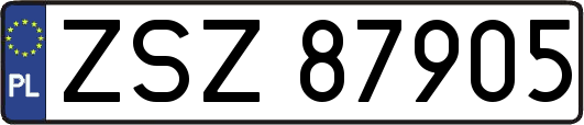 ZSZ87905