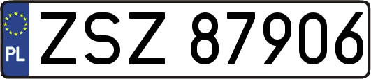 ZSZ87906