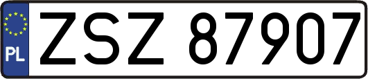 ZSZ87907