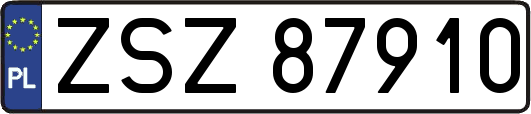 ZSZ87910