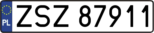 ZSZ87911
