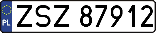 ZSZ87912