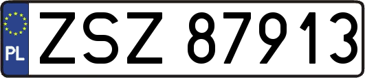 ZSZ87913