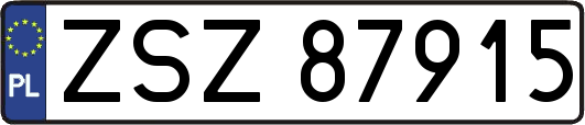 ZSZ87915