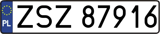 ZSZ87916
