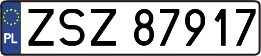 ZSZ87917