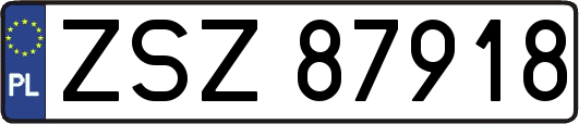 ZSZ87918