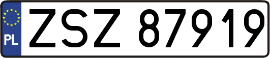 ZSZ87919