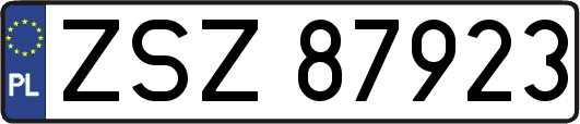 ZSZ87923