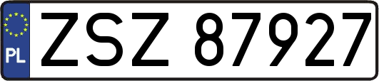 ZSZ87927