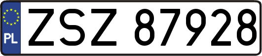ZSZ87928