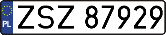 ZSZ87929