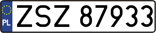 ZSZ87933