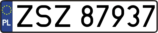 ZSZ87937