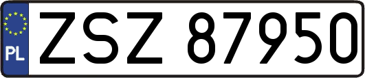 ZSZ87950