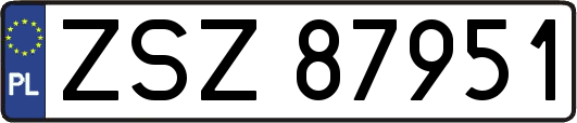 ZSZ87951