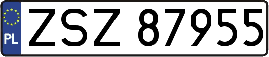 ZSZ87955