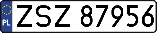 ZSZ87956