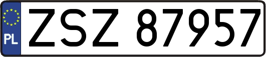 ZSZ87957