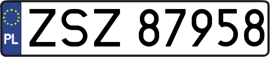 ZSZ87958