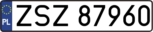 ZSZ87960