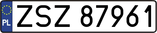 ZSZ87961
