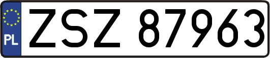 ZSZ87963