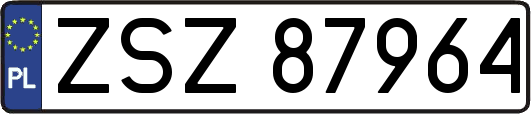 ZSZ87964