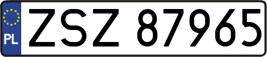 ZSZ87965