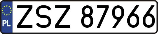 ZSZ87966