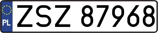 ZSZ87968